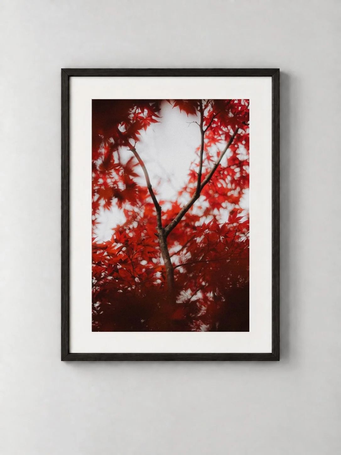 Aka, shown framed on a wall